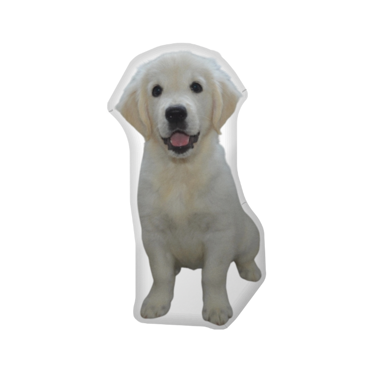 Custom Dog Photo Pillow