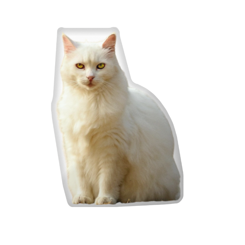 Custom Cat Photo Pillow